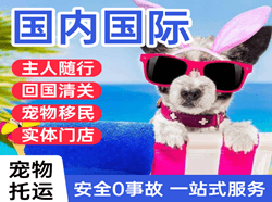 兴东机场物流国际宠物托运 【国